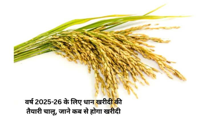 cg dhan kharidi prepration start